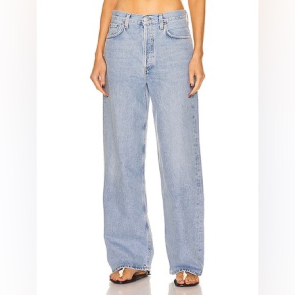 Agolde Low Rise Baggy in Void